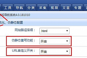 飞飞CMS伪静态开启和URL自定义规则修改
