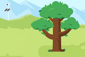 支付宝蚂蚁森林怎么自定义弹幕 蚂蚁森林发弹幕教程