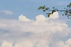 微信朋友圈怎么关闭不让所有人看 微信朋友圈关闭后以前的东西还在吗