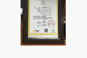 跆拳道黑带证书生成器玩法教程 你想拥有跆拳道黑带证书吗