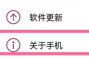 一加ace竞速版怎么查真伪