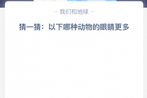 猜一猜:以下哪种动物的眼睛更多?