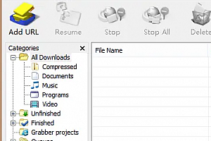 idm怎么设置中文
