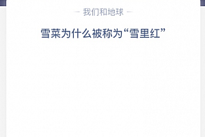 雪菜为什么被称为“雪里红”?