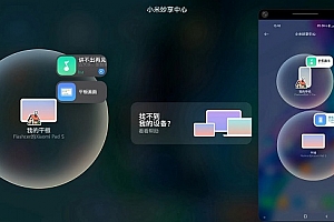 小米妙享中心和华为区别