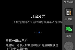 荣耀magic3pro怎么分屏