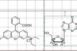 chemdraw如何导出图片