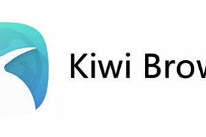 kiwi浏览器怎么下载