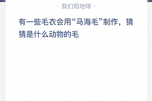 有一些毛衣会用“马海毛”制作,猜猜是什么动物的毛?