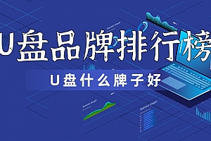 2020U盘品牌排行榜前十