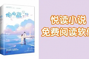 悦读小说怎么打不开
