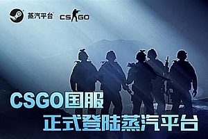 蒸汽平台csgo市场在哪