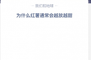 为什么红薯通常会越放越甜?