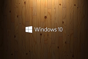 win1019028什么时候发布