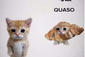 可颂猫是什么时候的梗