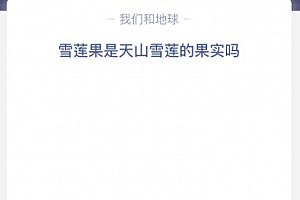 雪莲果是天山雪莲的果实吗?