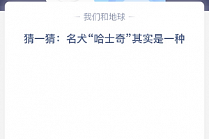 猜一猜:名犬“哈士奇”其实是一种?