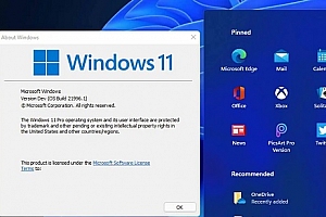 2023年win11现在建议升级吗
