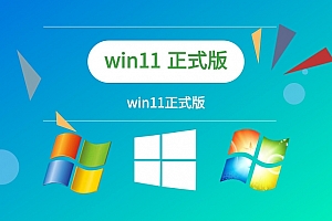 win11安装选哪个版本