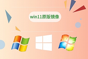 win11哪个版本最流畅稳定