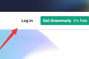 grammarly网页版使用方法