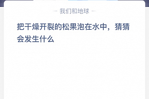 把干燥开裂的松果泡在水中,猜猜会发生什么?