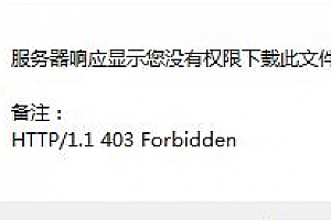 idm没有权限下载此文件