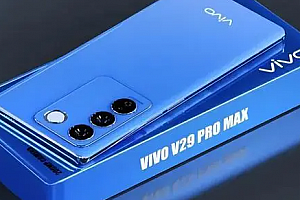 vivov29最新消息详情