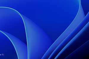 win11系统版本区别详细介绍