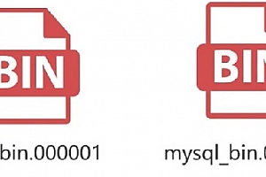 bin是什么文件格式可以删吗