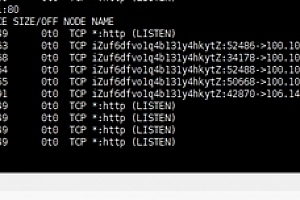 linux端口占用查询命令