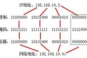 子网掩码怎么填