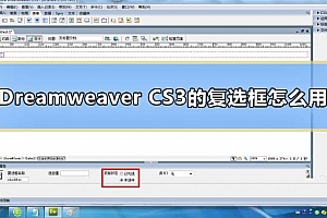 Dreamweaver CS3的复选框怎么用