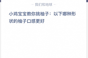 小鸡宝宝教你挑柚子:以下哪种形状的柚子口感更好?