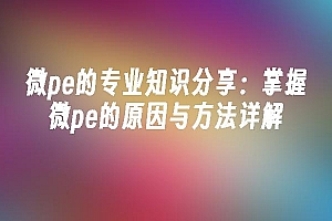 苹果cms模板微pe的专业知识分享:掌握微pe的原因与方法详解苹果cms
